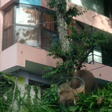 Sugan Residancy Kodai 科代卡纳尔 外观 照片