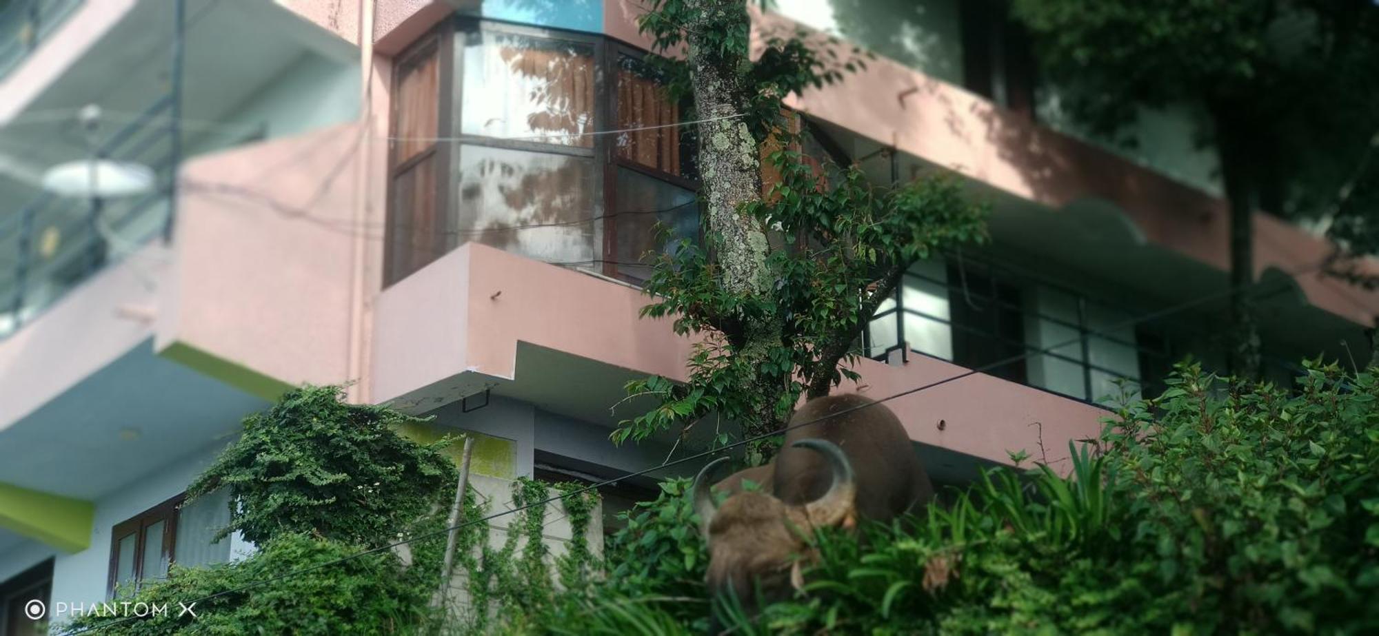 Sugan Residancy Kodai 科代卡纳尔 外观 照片